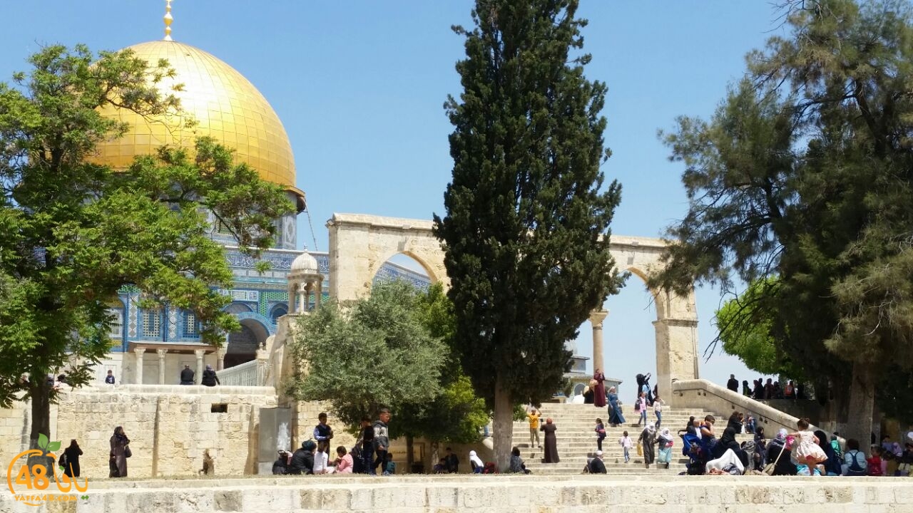 a7bab al aqsaa (13).jpg